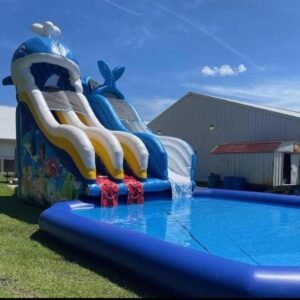King Surf Slide
