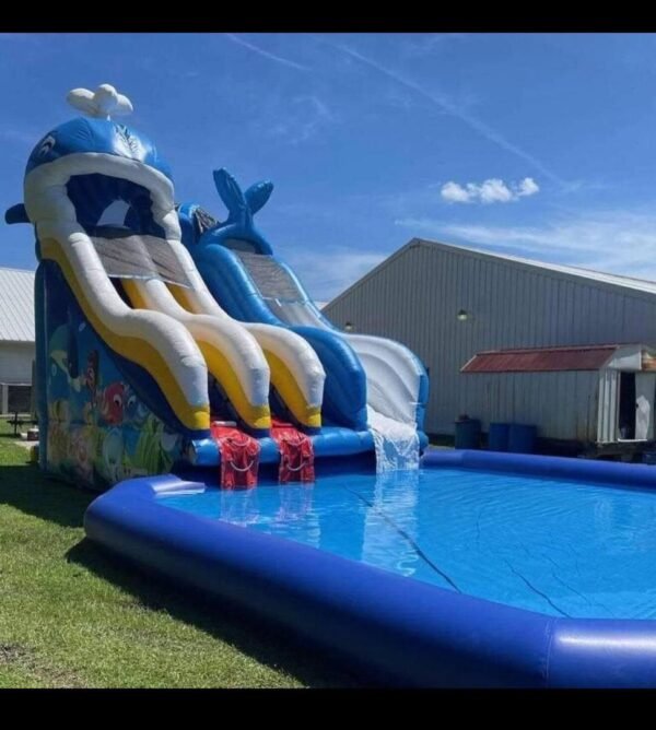 King Surf Slide